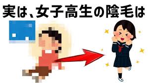 女子高生　陰毛| / X