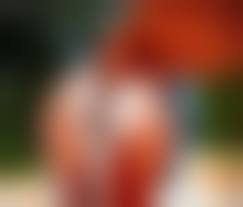 Mir hebe pussy -25 |Chan Mir Hebe Garl Pussy 192 | Hot Sex Picture