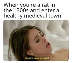Sexy horny memes jpg x Hot sex meme
