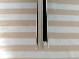 山添みづき　裸　11才|山添みづき１５歳 本