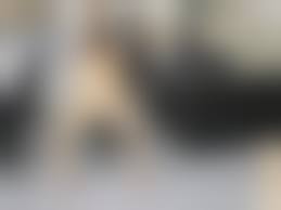 カリビアンコム時間よ止まれ無修正|Time Fuck Bandits タイムファックバンディット 時間よ止まれ 銭湯編 第一部 フェラチオエロ動画 Fellatio Gallery