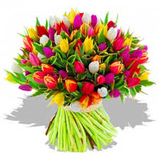 images?q=tbn:ANd9GcT876WEZvDA2g1kjgeu_Ye0-AUgMSbqhXxCziMBa_6P5vqWycvh