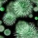 White House Begins New National Microbiome Initiative To Understand Benefits Of Bacteria 