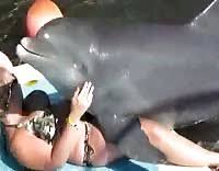Dolphin hentai porn videos 🍆✊️💦 jpg x Dolphin tube