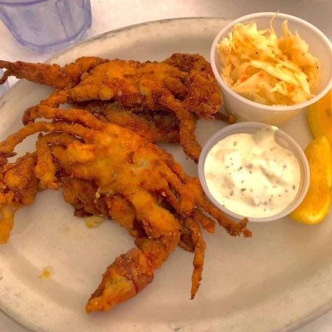 The Original Crab Shanty by null