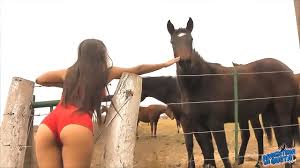 Woman fucked horse jpg x Woman fucked by horse