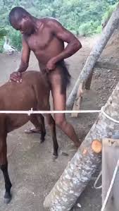 Dude fucks a small horse for quite some intriguing scenes jpg x Man gets fucked by horse