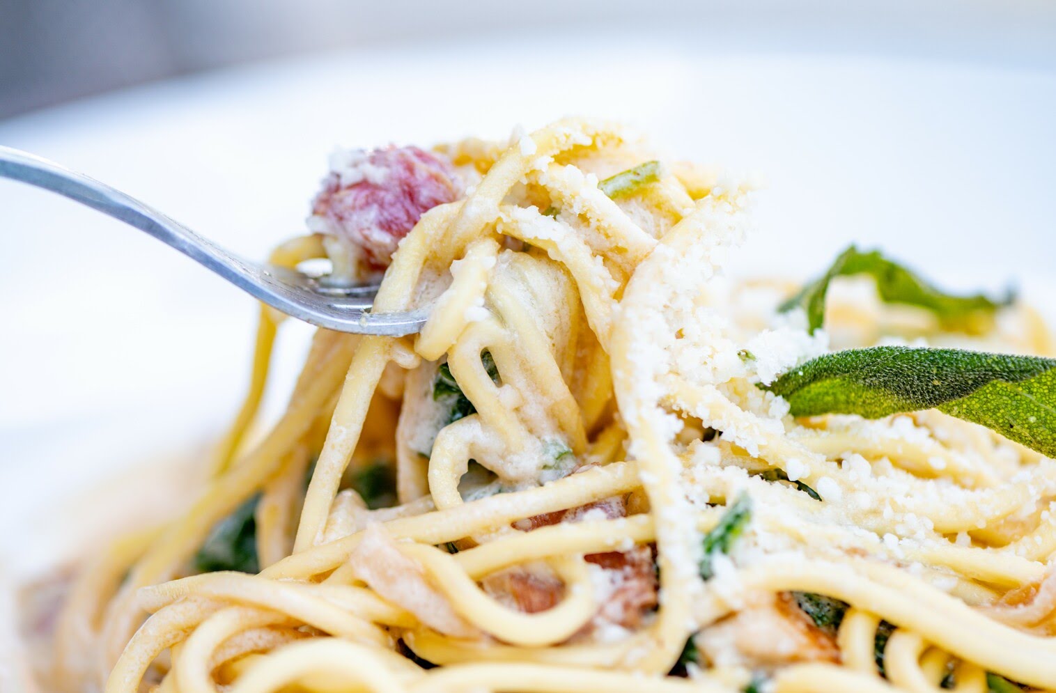 Lilly's Gourmet Pasta Express by null