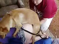 Wife fucked dog jpg x Wife fucked by dog