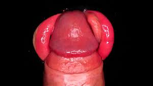 Search oe utf pov big mouth porn isz en safe off udm ec gadaaq jpg x Pov big mouth