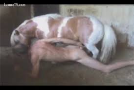 Pony fucks girl jpg x Pony fucks girl