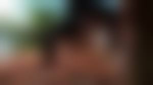 3D beastiality hentai|HMV - All That She Wants