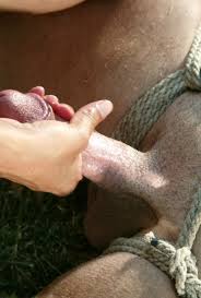 Panties down and walrus penis stretching ass jpg x Cock stretching