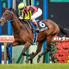【マイルCS・注目馬】マイル戦複勝率100％の安定感シュネルマイ ...
