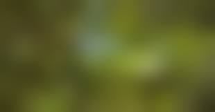 宮咲志帆 sm|ThumbNow Japanese Babe Shiho Miyazaki 宮崎志保 Erotic Photo 7!