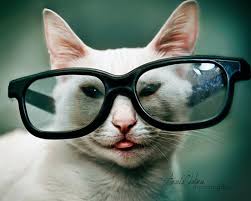 images?q=tbn:ANd9GcTB2gIwnm8qdvfKMWJcVXqoEWUTH5nLU74aDtDbJIuxTEhjyzSUCcItClu-Cw
