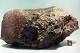 Meteorites carried life-producing phosphorus to Earth