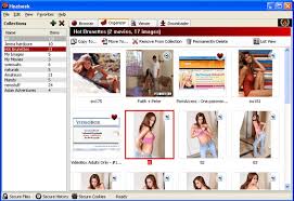 Nsfw what are great browsers for browsing privately and skd jpg x Best browser