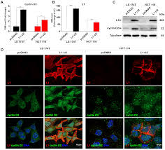 ls- nude lsm 6|J ANT: Image PCD0571-75
