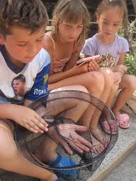 rajce.idnes. prazdniny naked[idnes rajce.ru|Prázdniny bez školy – pobockazsnarovinectrebova – album na Rajčeti