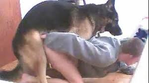 Garlic member page jpg x Guy fuck dog