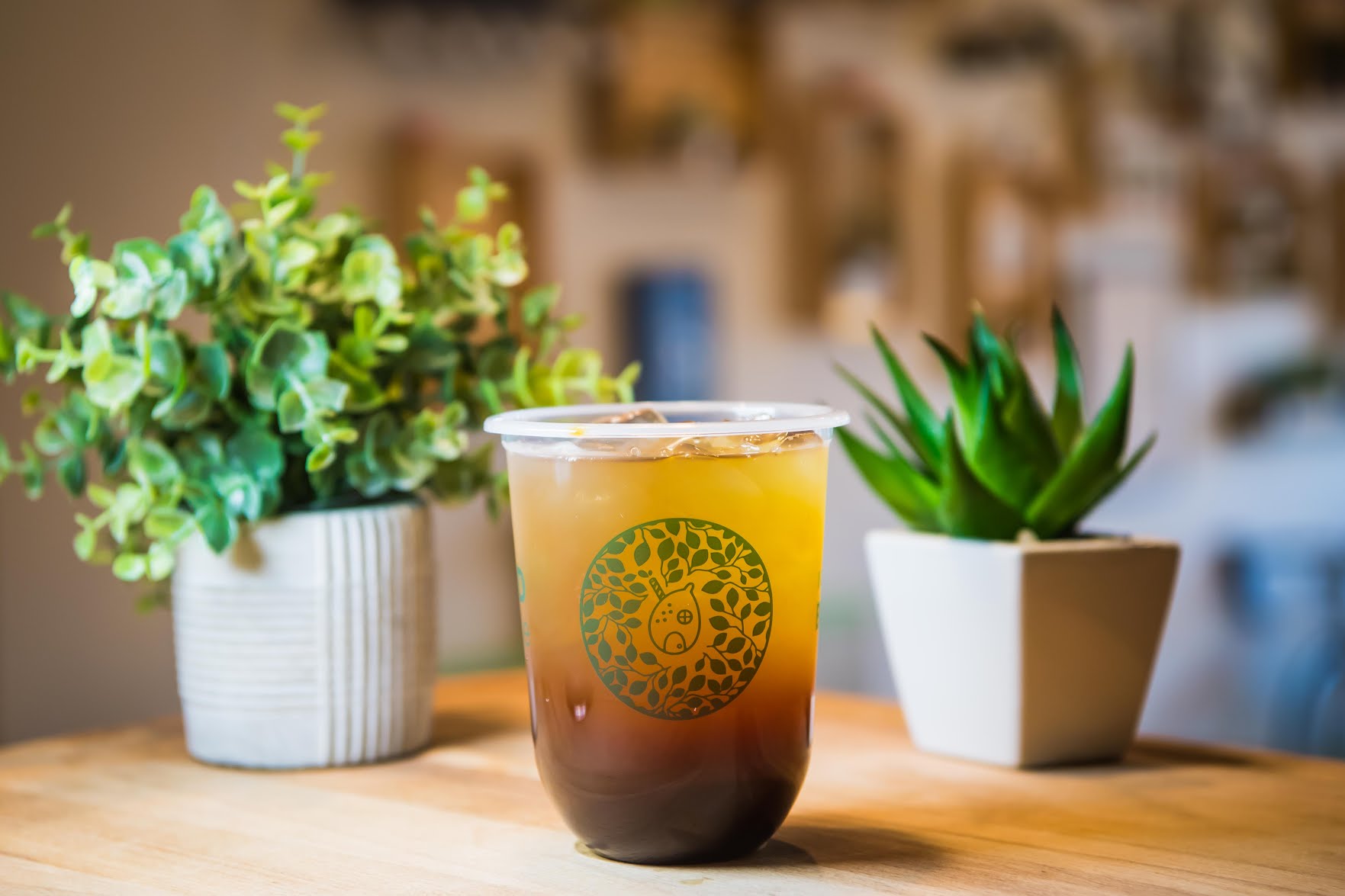 LimeRed Teahouse (Boston) by null