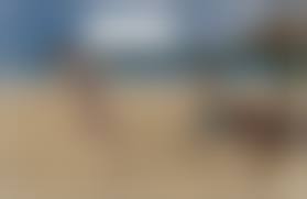 incest toon 3d sex|Cartoon Porn 3d Pics image #88679