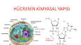Hücre Biyolojisi: Canlıların Temel Yapı Taşları ile ilgili video