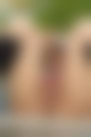 G-queen pussy school|Kanako Takizawa 滝沢加奈子 G-Queen MumoSengen パイパン無毛宣言 Shaved Pussy Photo