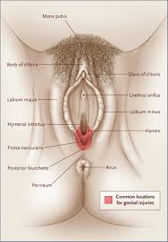 Sexual violence rape prevention education jpg x Unwanted anal sex