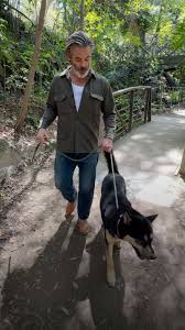 Riding on dog the pines|First time dog sledding – Swedish Lapland