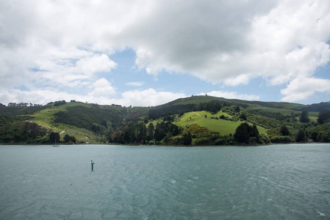 Otago Peninsula by null