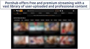Pornhub is now blocked in more states how to watch anyway aj jpg x Pron site