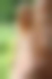 freckled teen girl nude boobs|Download photo 1280x1024, michelle h, sexy girl, nude, naked, hooters, boobs,  tits, bust, breasts, nipples, freckled, freckles, redhead, red fox, marga  e, the red fox - ID: 89841