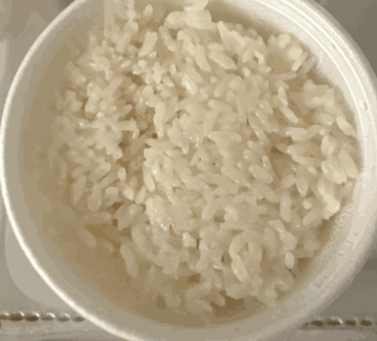 Honey Pig BBQ by null