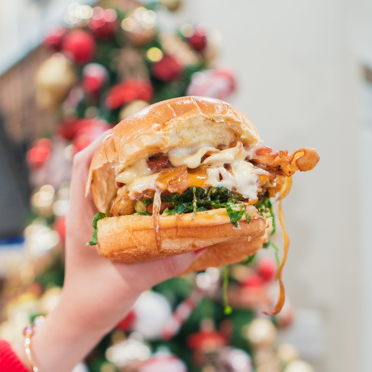 Sergio’s Restaurant and Burger Philadelphia by null