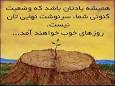 Image result for u202bجمله انگيزشيu202c