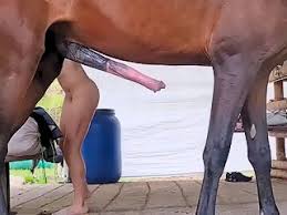 Animal sex porn tube the best bestiality zoo sex video content on the net jpg x Farm animal sex