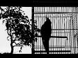 Image result for u202bميشه پرنده باشي اما رها نباشيu202c