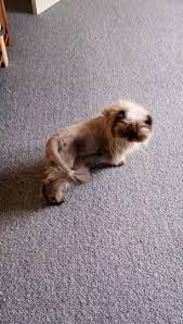 pimpandhost crazyholiday-$|Crazy 😱 Adventures and Unbelievable Moments - You Won't Believe What  Happened! 🌟 | Get ready to be amazed as we share the most incredible and  unexpected stories from our unforgettable holiday.