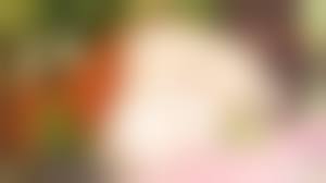 美少女万華鏡 uncensored|happoubi jin, lily (bishoujo mangekyou), bishoujo mangekyou, game cg, 1boy,  1girl, anus, bangle, blush, bracelet, breasts, clitoris, clothed sex, green  eyes, hetero, jewelry, large breasts, leg lift, long hair, lying, nipples,  on