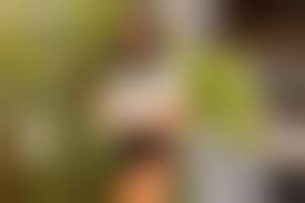 skirt bottomless wallpaper|looking at viewer, model, redhead, arched back, pale, Jia Lissa, women,  bottomless, ass, Russian, Russian women, skirt, upskirt, dress, MetArtX |  4220x2815 Wallpaper - wallhaven.cc