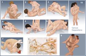 Threesome sex positions jpg x Threesome sex positions