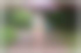 野外露出　遥|Hey動画 露出調教18 heydouga