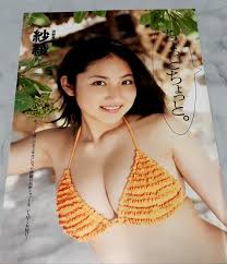 ジャスコ　逆さ撮り|◎05【 紗綾 】切り抜き 6P アイドル歌手タレント女優キャンギャルグラドルハイレグ水着 当時グラビア貴重