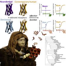 porn 3d art Kouchan|Headline news on May 2, 2017 - GIGAZINE