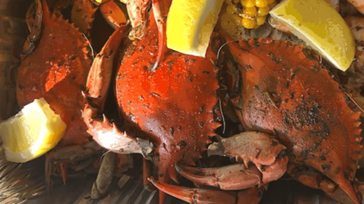 Morningside Cafe by null