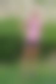 imagefap tiny|Babe Today Atk Kingdom Rachel James Access Small Tits Imagefap Mobile Porn  Pics