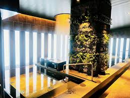 tokyohot 255|Amazon.co.jp: HOT97 SUMMER JAM TOKYO mixed by DJ LEAD: ミュージック