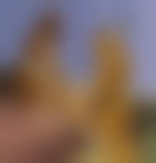 horse sex nude|Horse and human sex - Page 3 - IMHentai